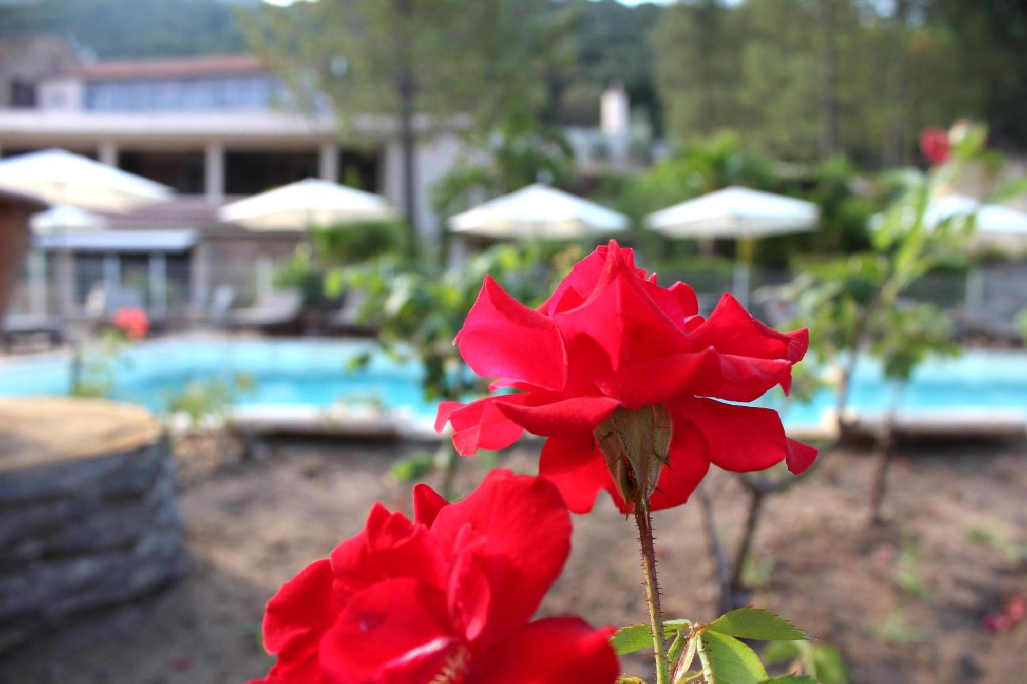Domaine De L'Oriu Hotel Serriera  Eksteriør billede